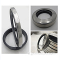 Double Lip cao su NBR FKM Viton Dầu